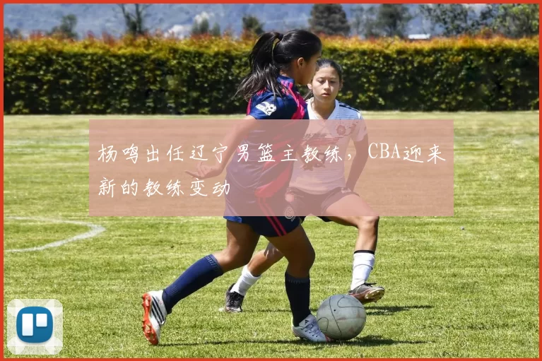 杨鸣出任辽宁男篮主教练,CBA迎来新的教练变动