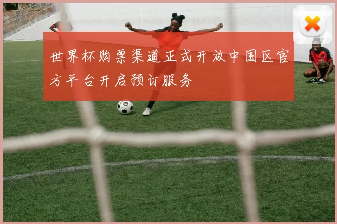 世界杯购票渠道正式开放中国区官方平台开启预订服务