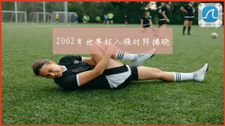 2002年世界杯八强对阵揭晓