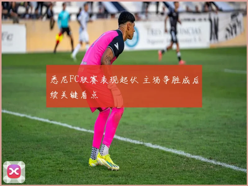 悉尼FC联赛表现起伏 主场争胜成后续关键看点