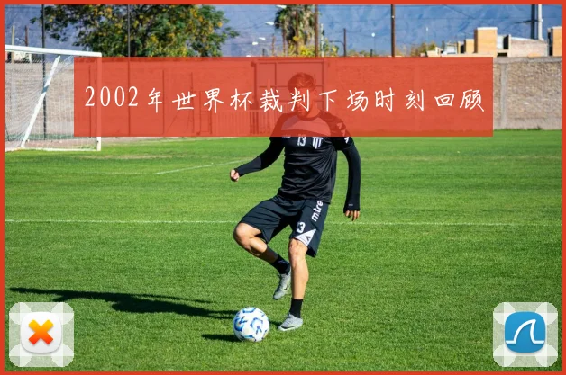 2002年世界杯裁判下场时刻回顾