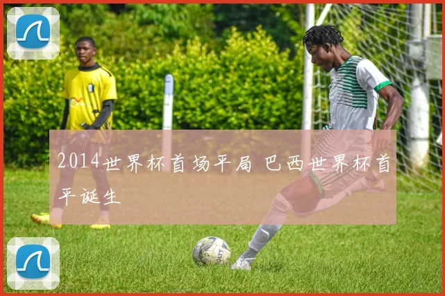 2014世界杯首场平局 巴西世界杯首平诞生