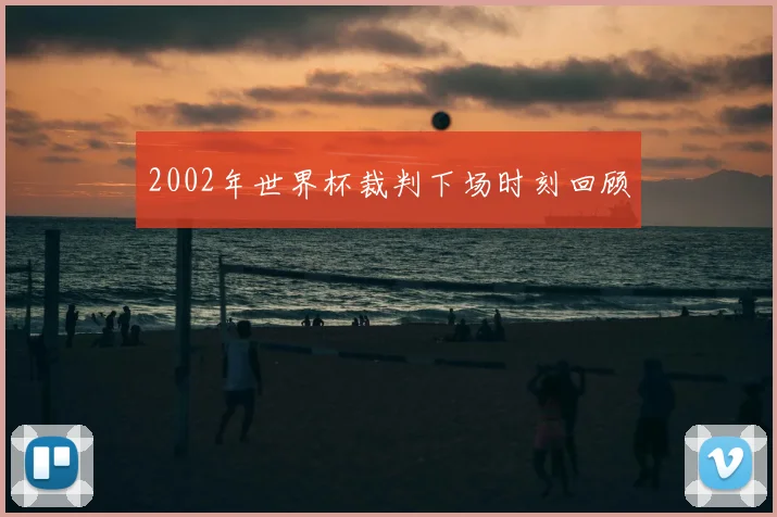 2002年世界杯裁判下场时刻回顾