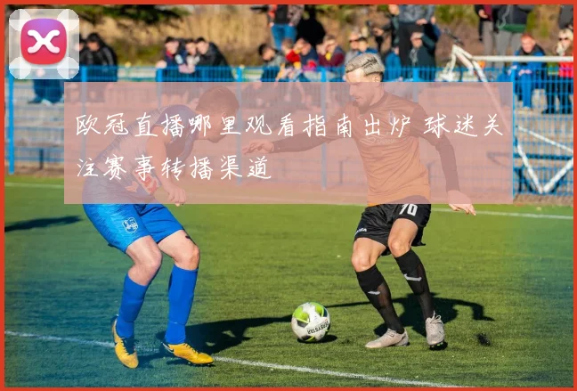 欧冠直播哪里观看指南出炉 球迷关注赛事转播渠道