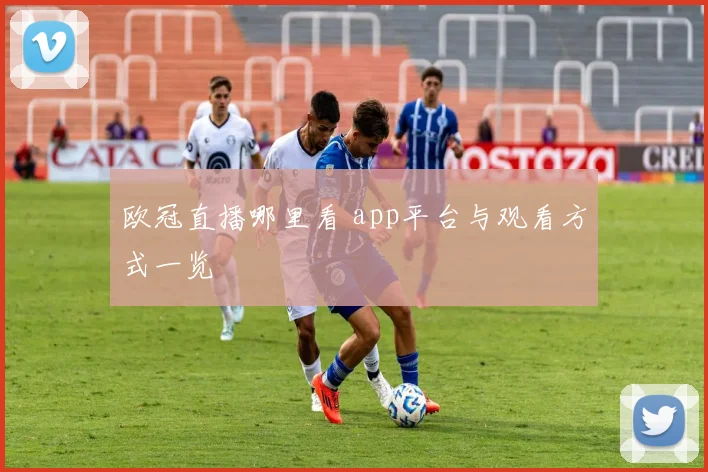 欧冠直播哪里看 app平台与观看方式一览