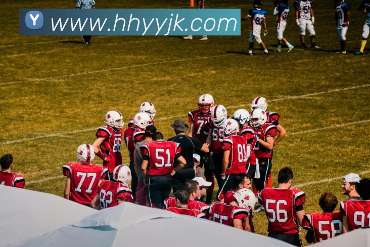 星空网官方登录入口APP 封面图